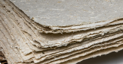 Bagasse paper texture