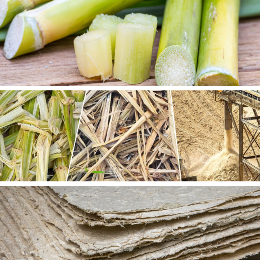 Sugar cane Bagasse Process
